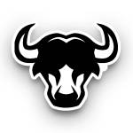 Apparel And Decal